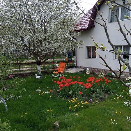 Casuta Bunicilor Villa Dorna Cindrenilor Dış mekan fotoğraf
