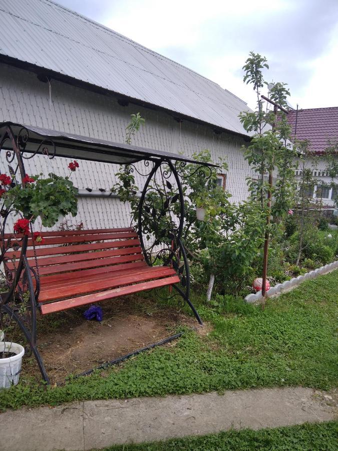 Casuta Bunicilor Villa Dorna Cindrenilor Dış mekan fotoğraf