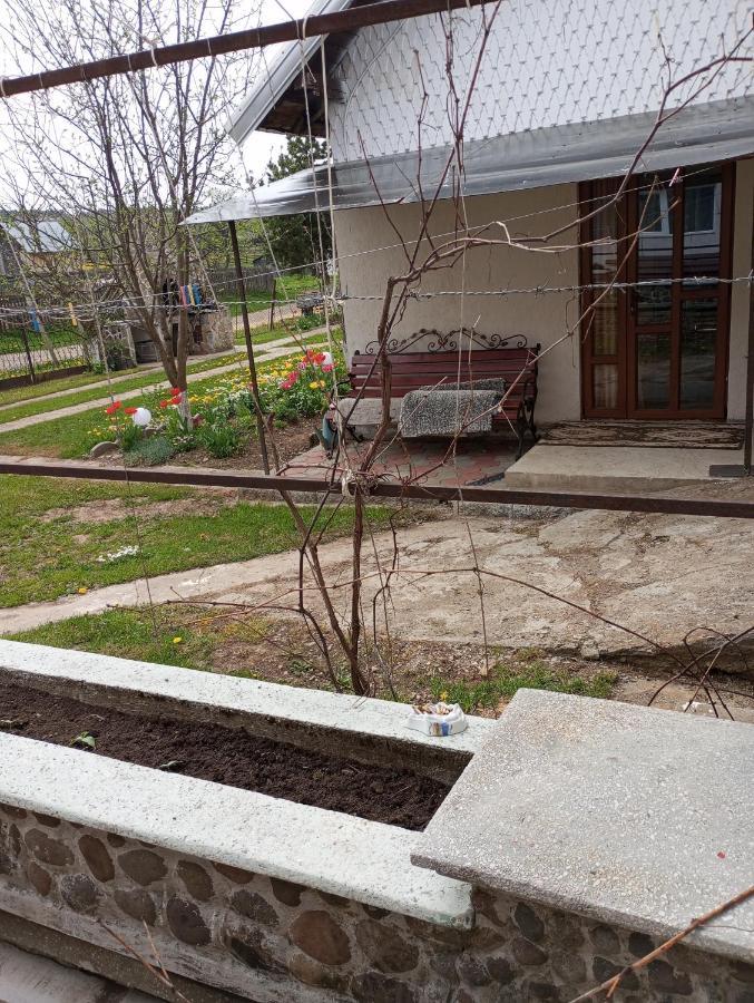 Casuta Bunicilor Villa Dorna Cindrenilor Dış mekan fotoğraf
