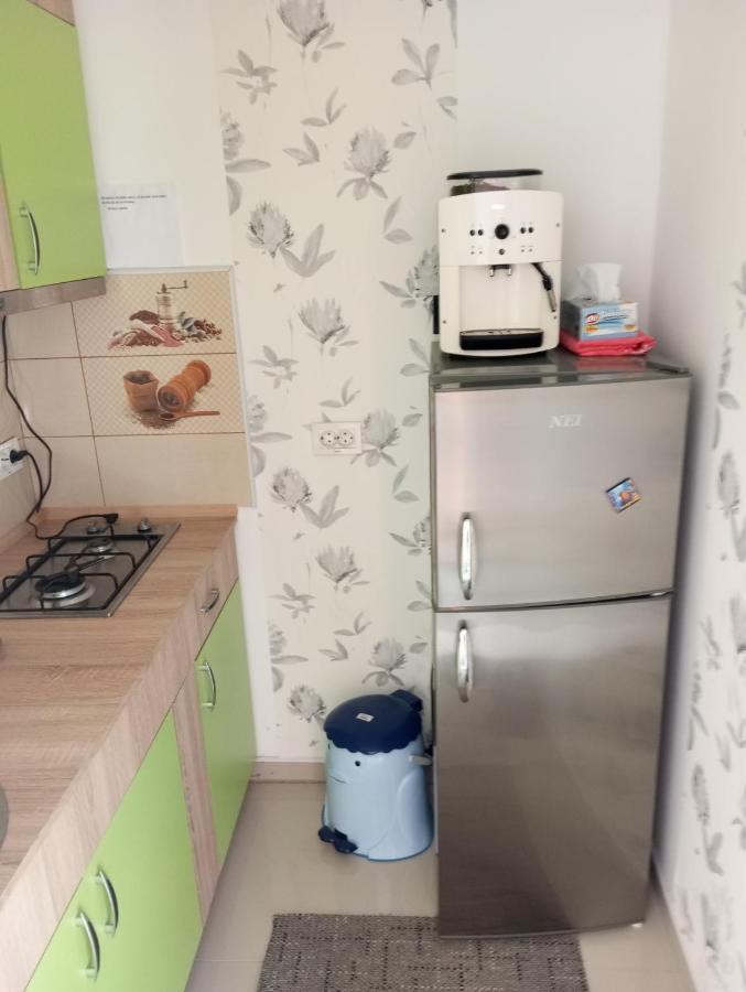 Casuta Bunicilor Villa Dorna Cindrenilor Dış mekan fotoğraf