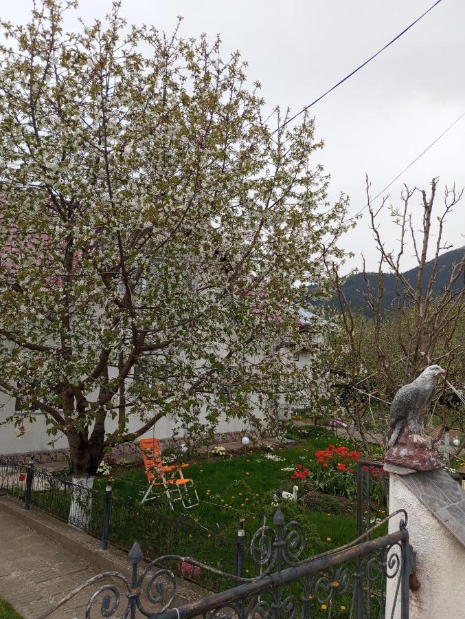 Casuta Bunicilor Villa Dorna Cindrenilor Dış mekan fotoğraf
