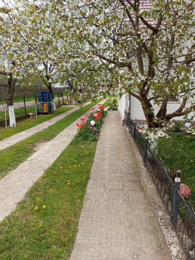 Casuta Bunicilor Villa Dorna Cindrenilor Dış mekan fotoğraf