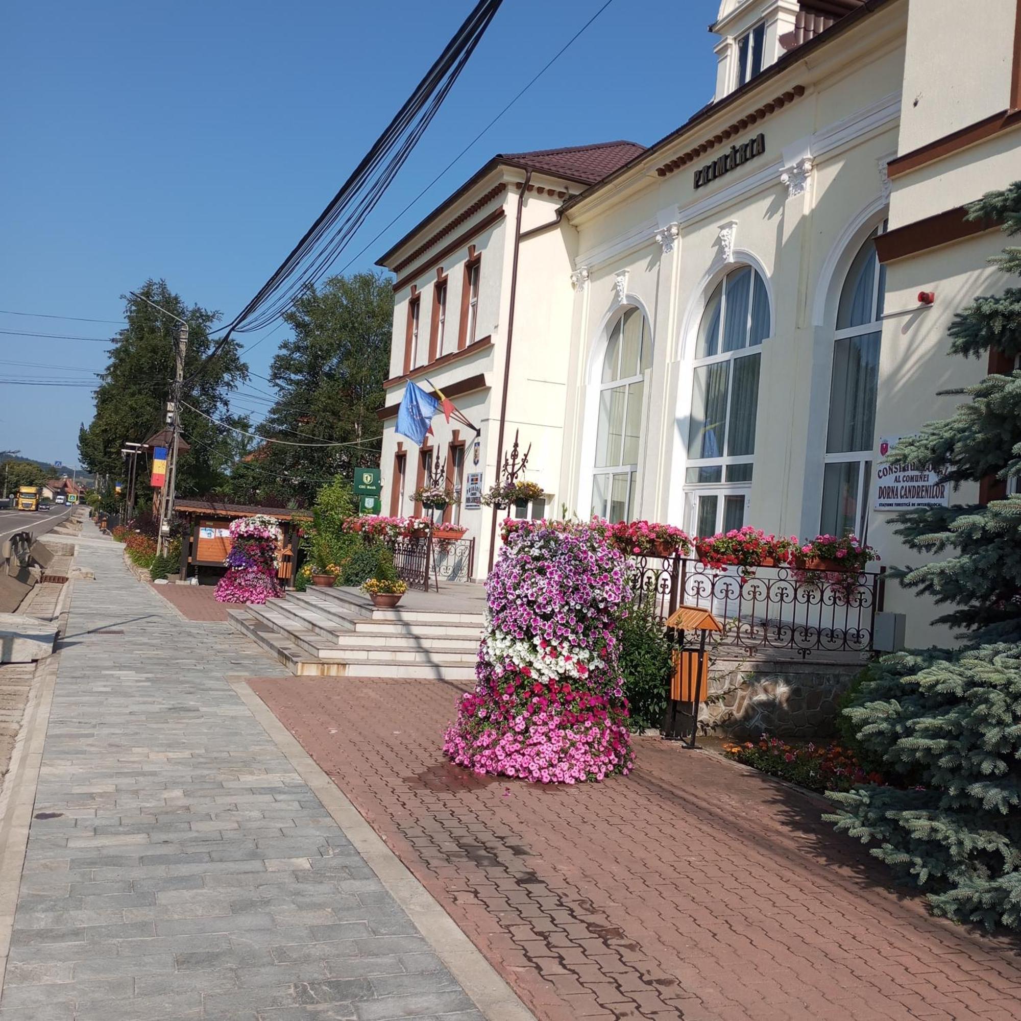 Casuta Bunicilor Villa Dorna Cindrenilor Dış mekan fotoğraf